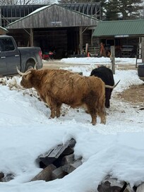 View from our breakfast table!