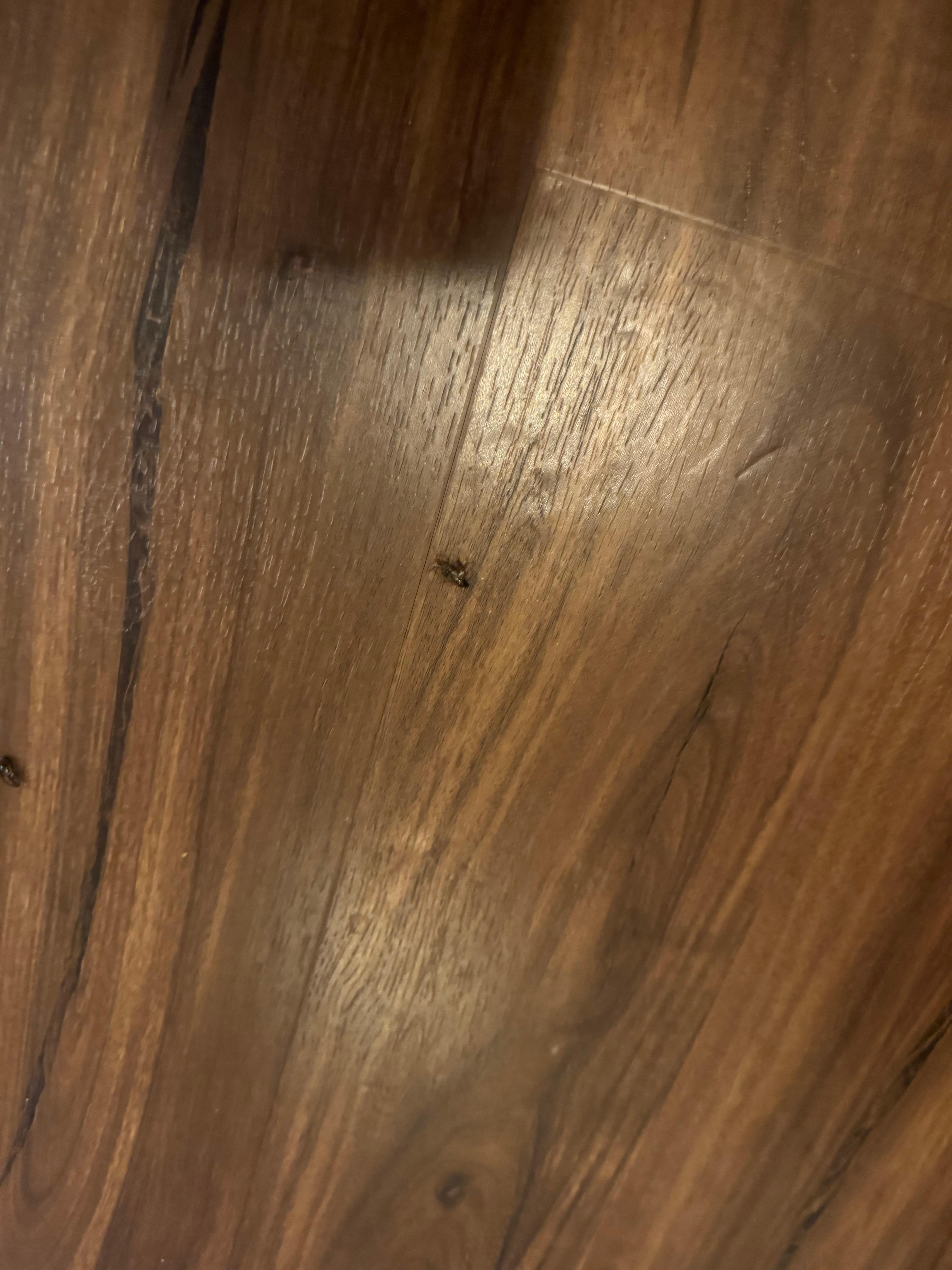 Wish I had a pic of everyone smoking dope outside 