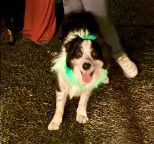 Freddie loves a good party!