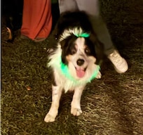 Freddie loves a good party!