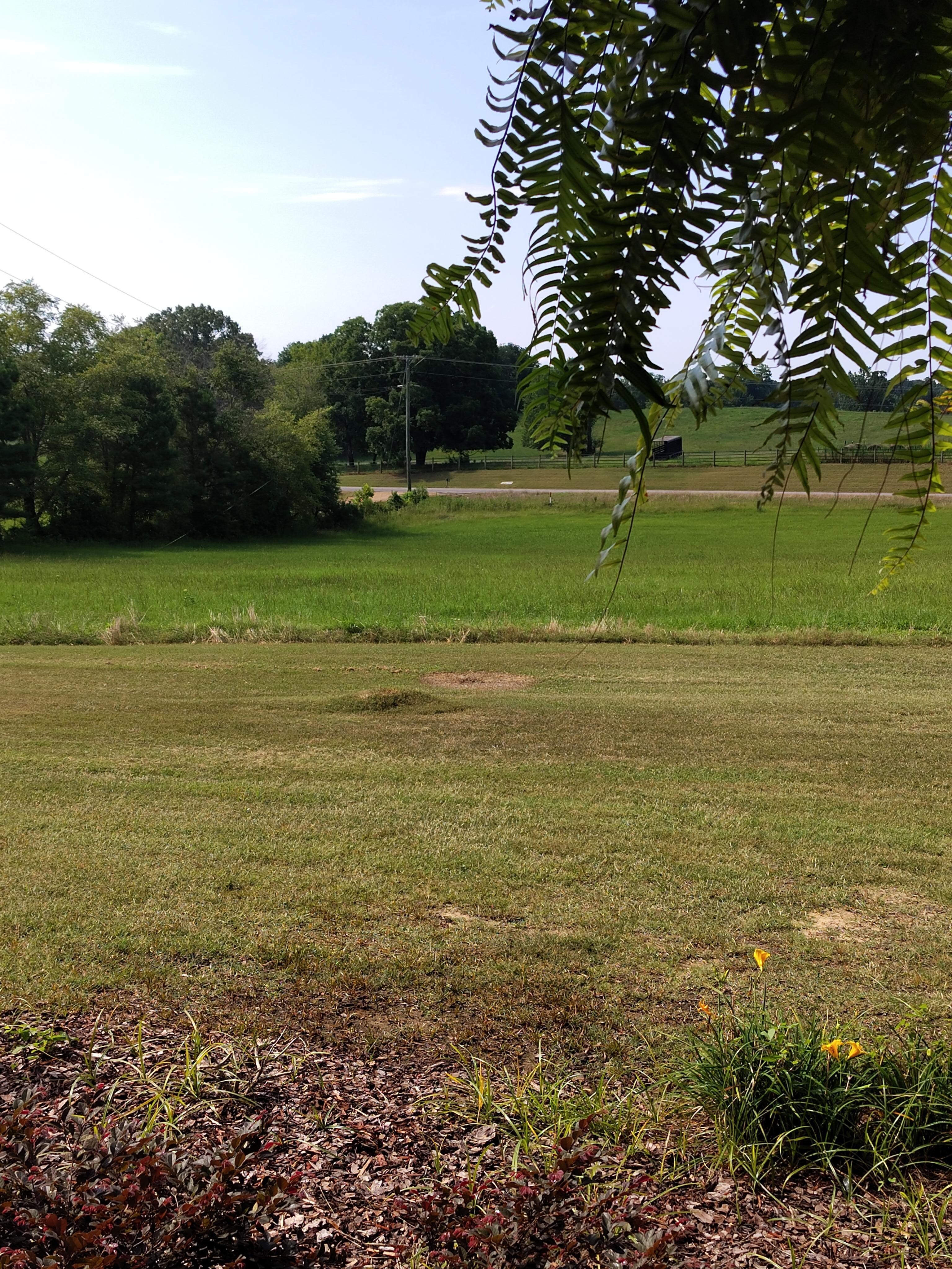 You gotta love it ❤️