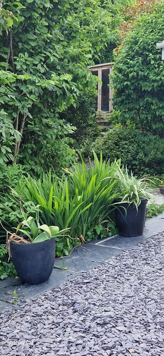 Garden and Summer House