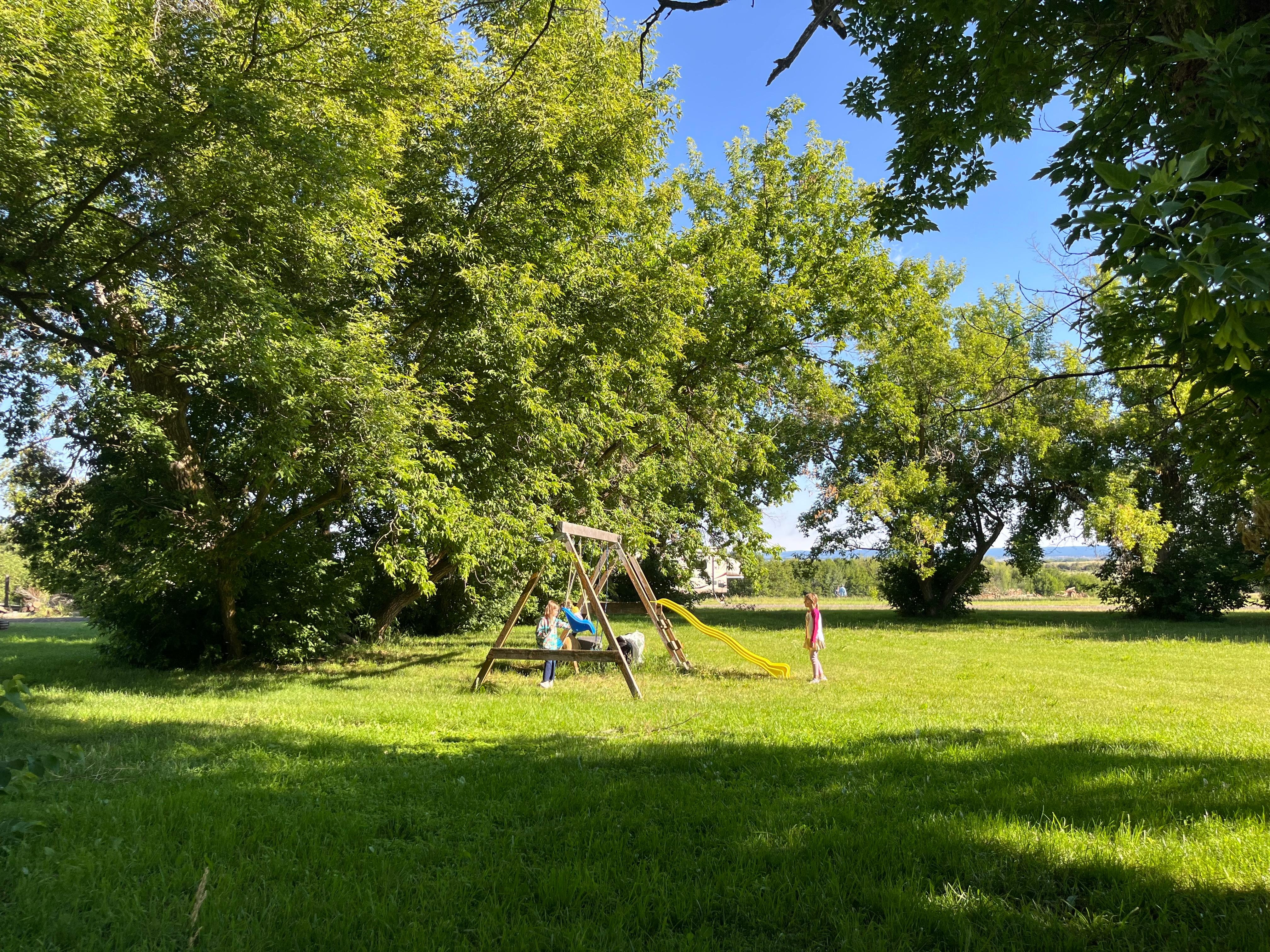 Backyard fun for family