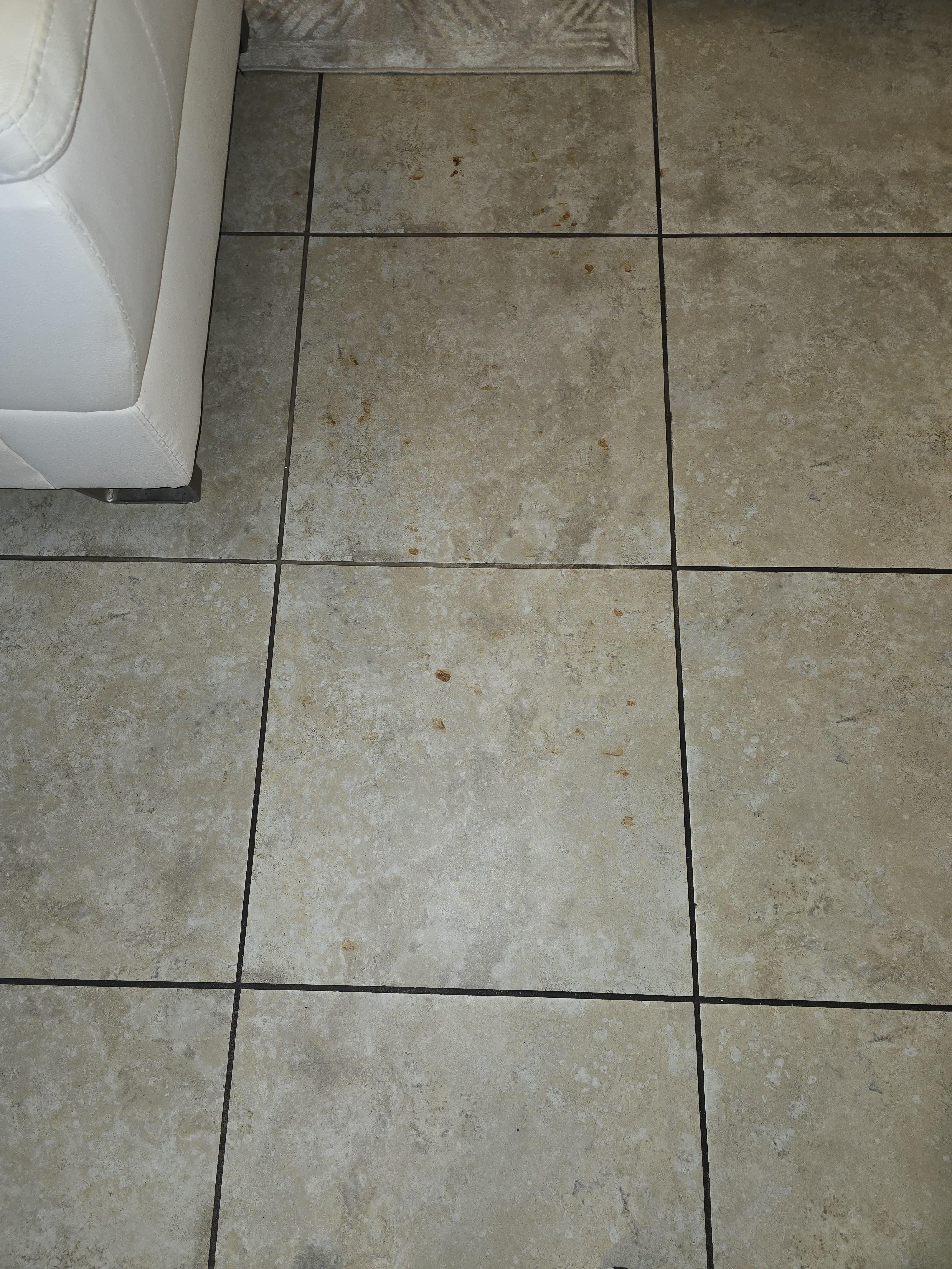 Dirty brown liquid in the living room.