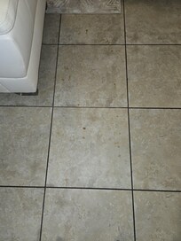 Dirty brown liquid in the living room.