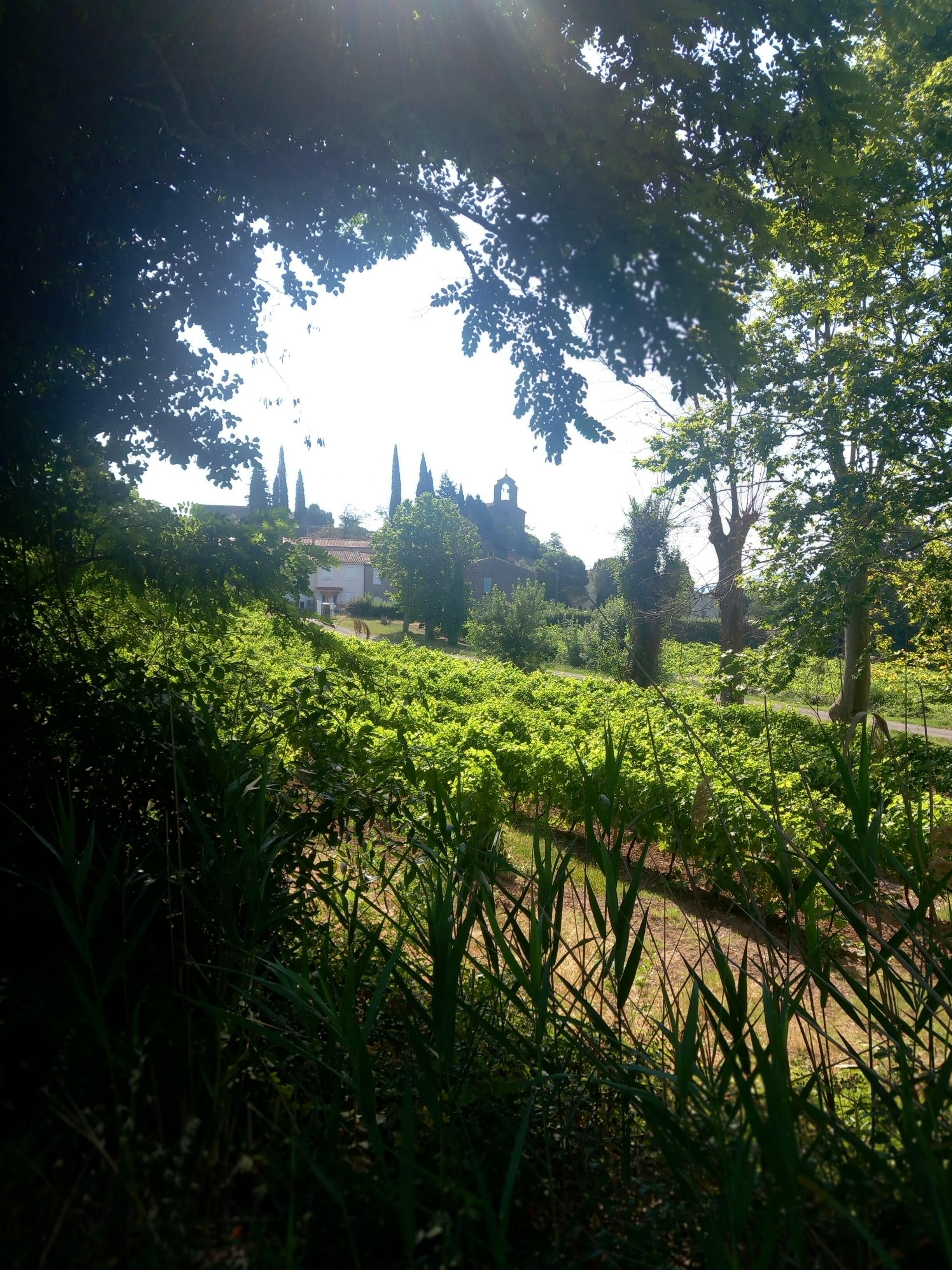View of the church in yhe village from the canal du midi