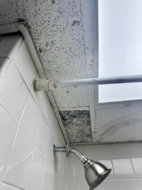 Excessive mold in bath
