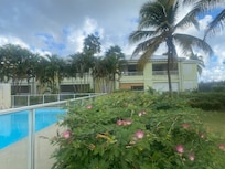 Piscine (vue partielle)