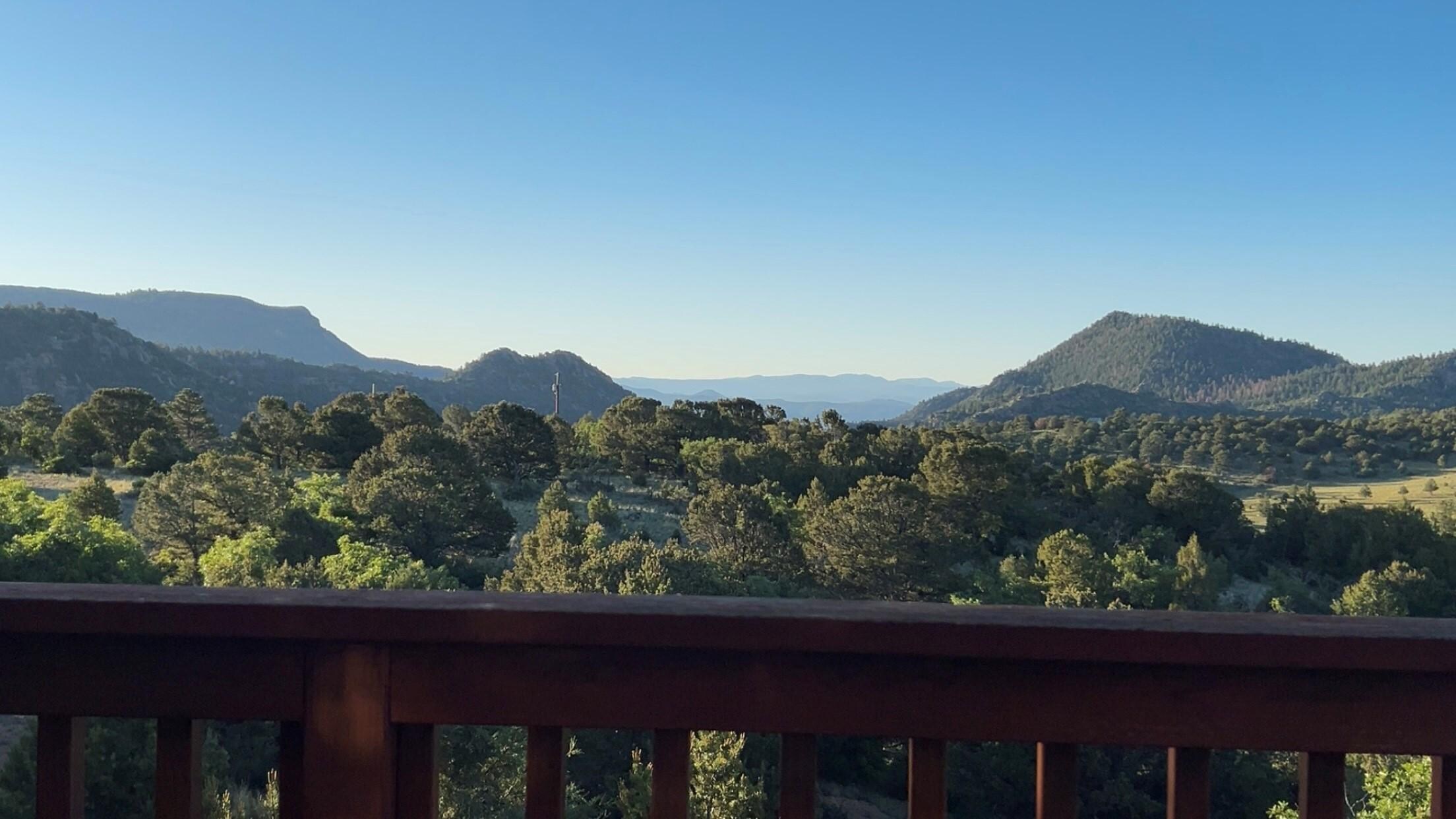 View from the front deck of the cabin. An incredible way to enjoy the mornings. Relaxing out here and getting to watch the variety of hummingbirds and birds in the area was an added bonus!