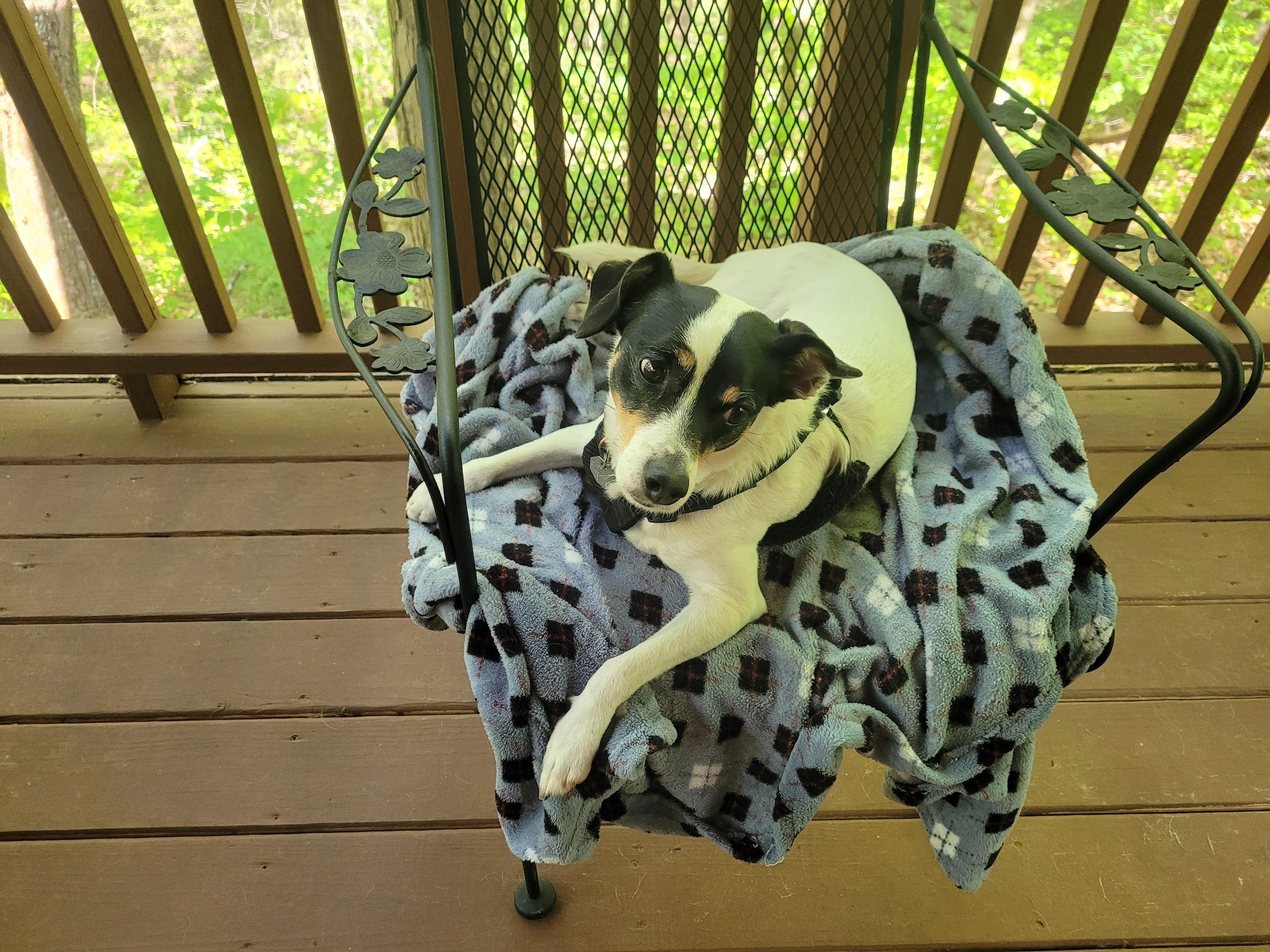 Our baby girl loved the porch!!