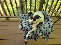 Our baby girl loved the porch!!