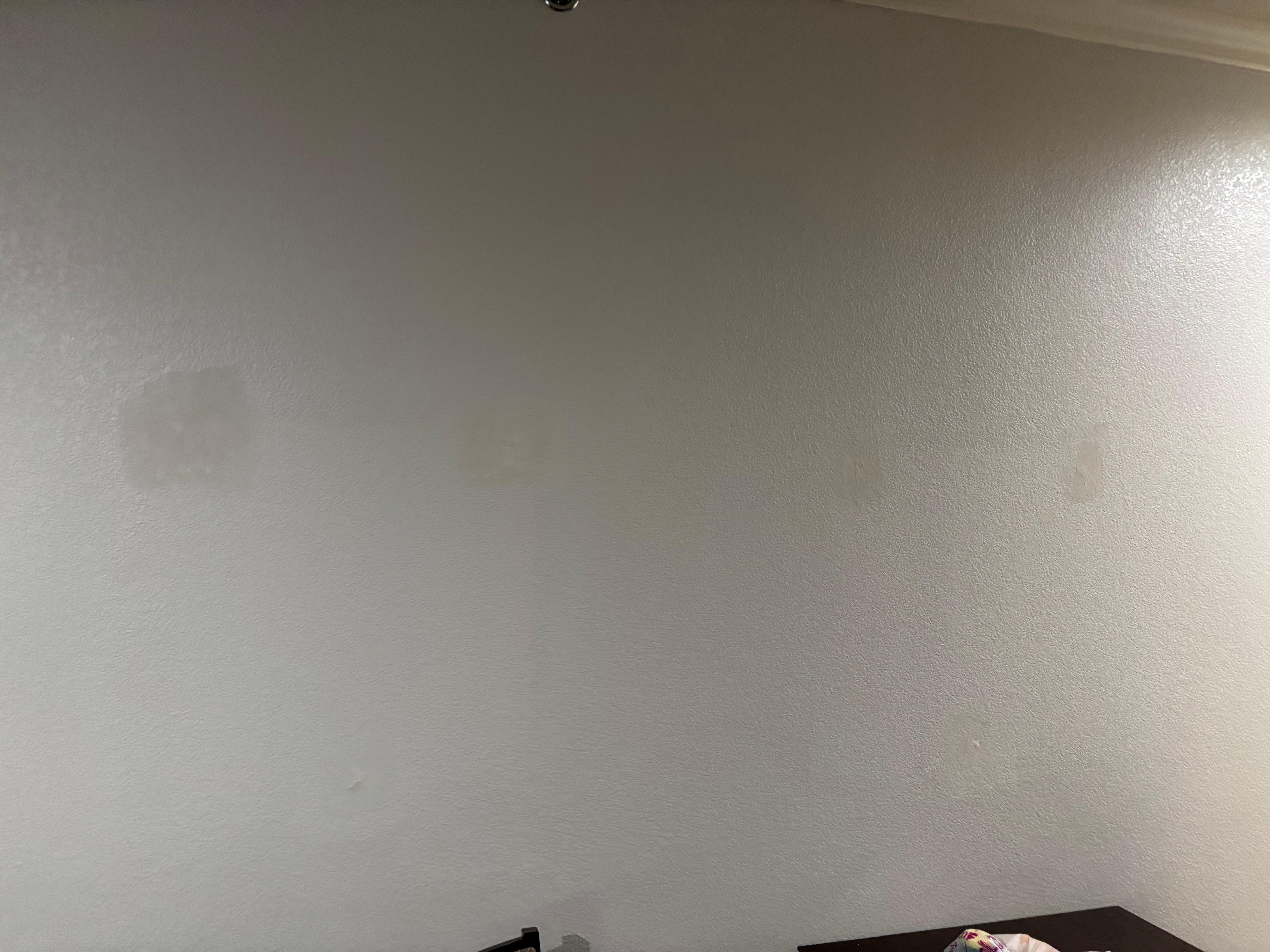 They had a bunch of plasterers covering up holes, but they never went through and repainted at all