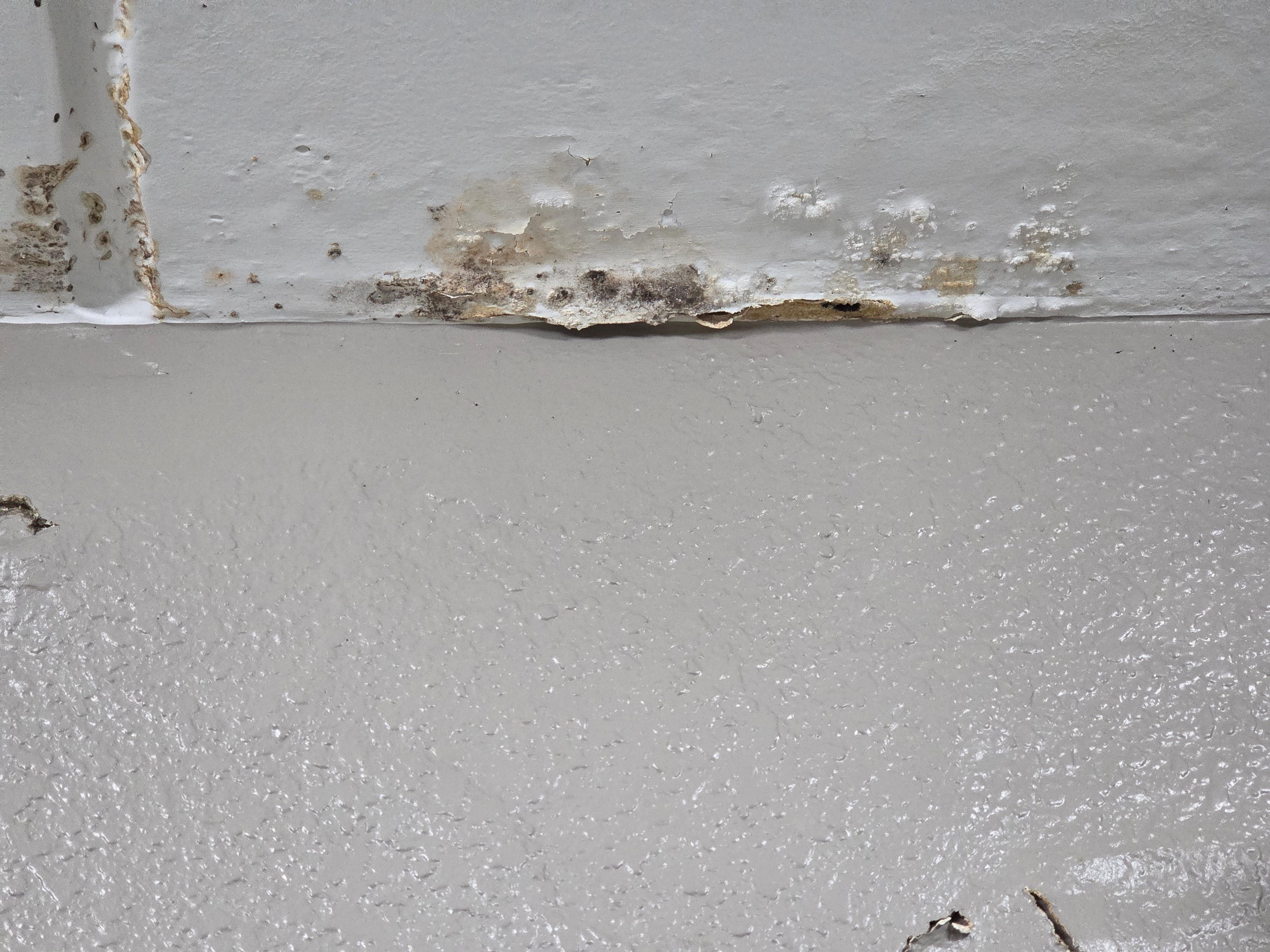 Cracked ceiling with mold close up 