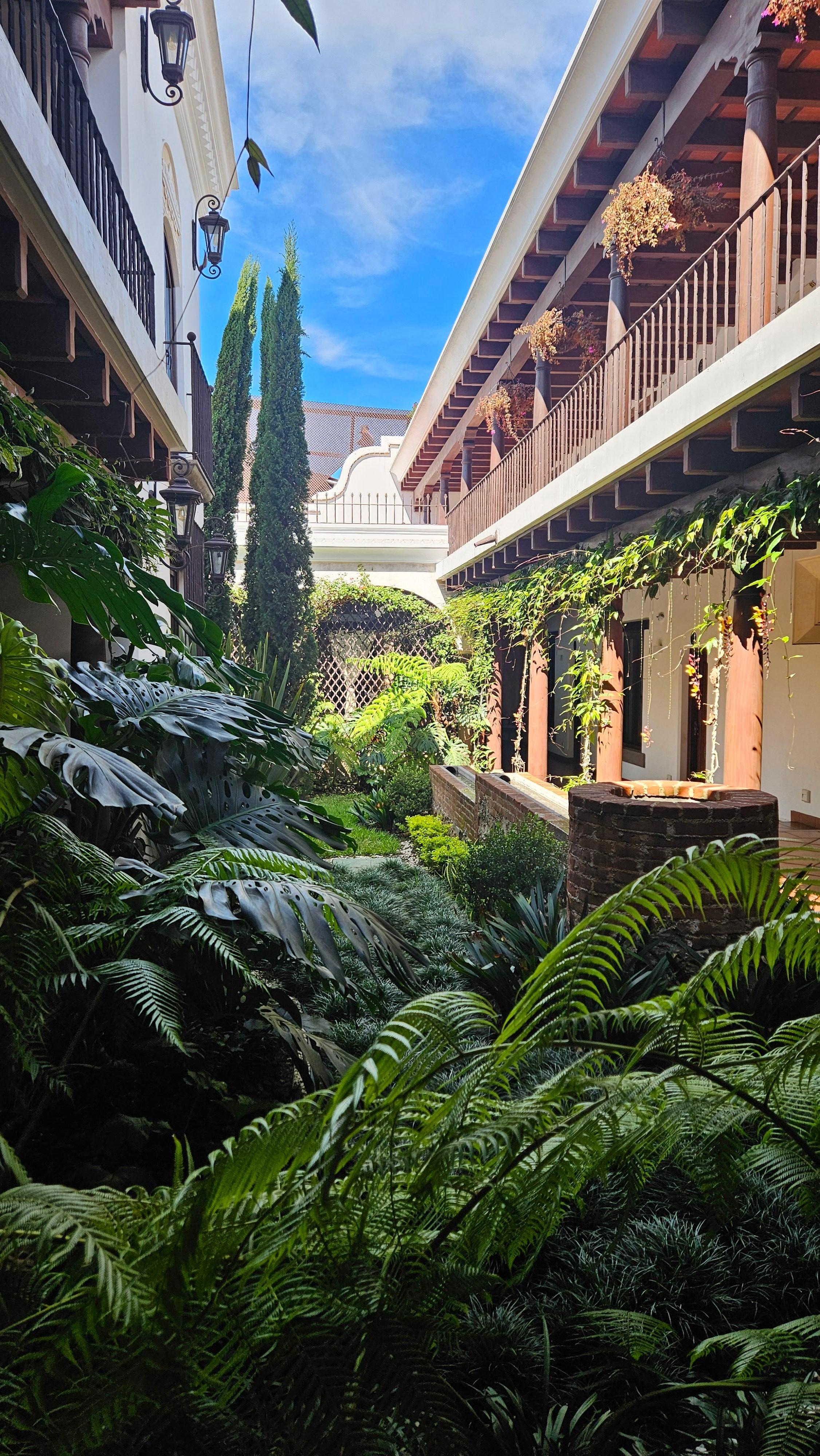 Courtyard area between rooms.