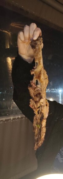 Not worth getting a reservation the Edgewater Grill unless you like this kinda ribeye