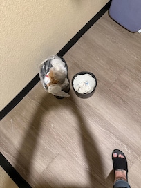 Full trash bins