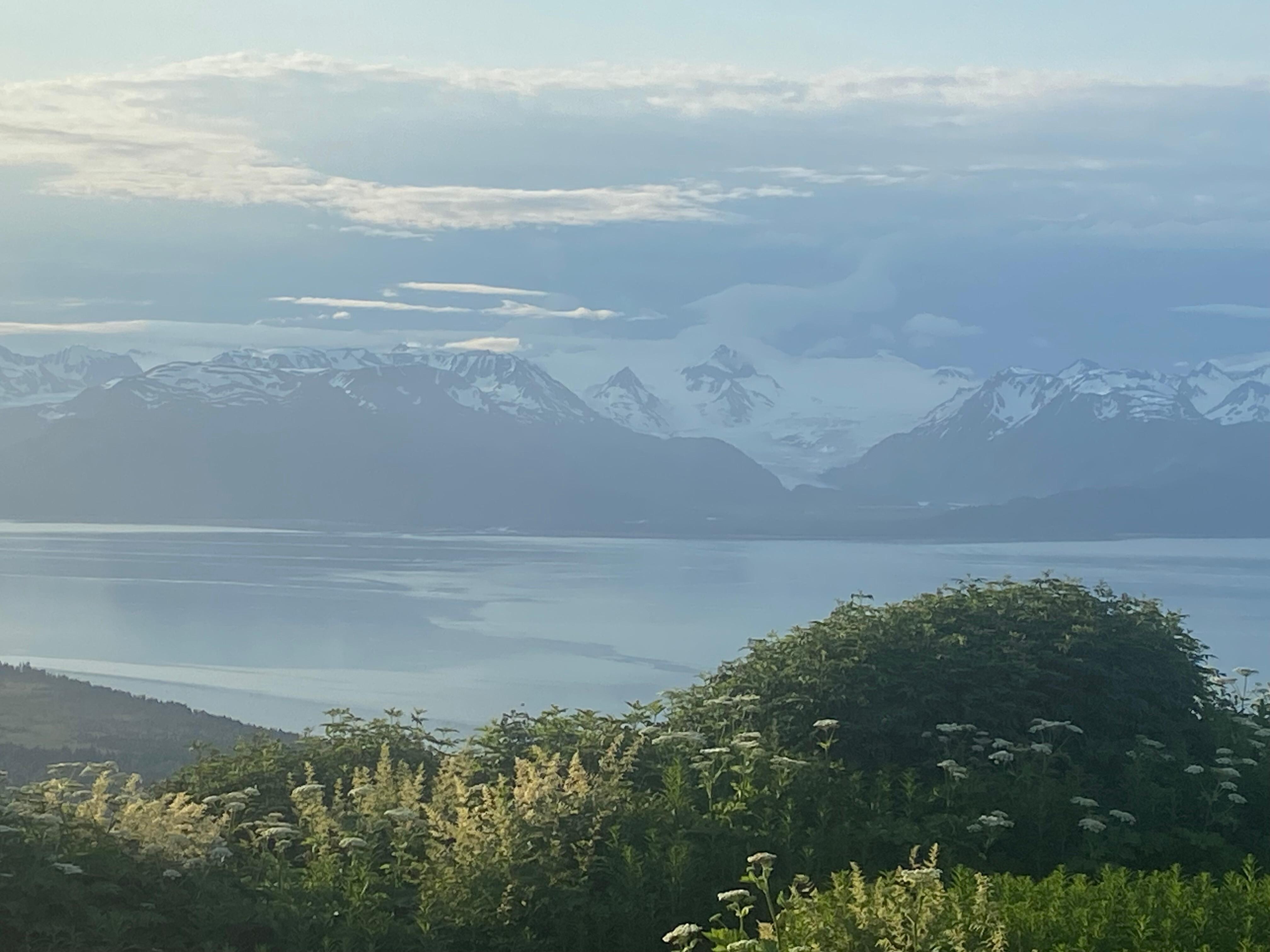 View of glacier and bay. 