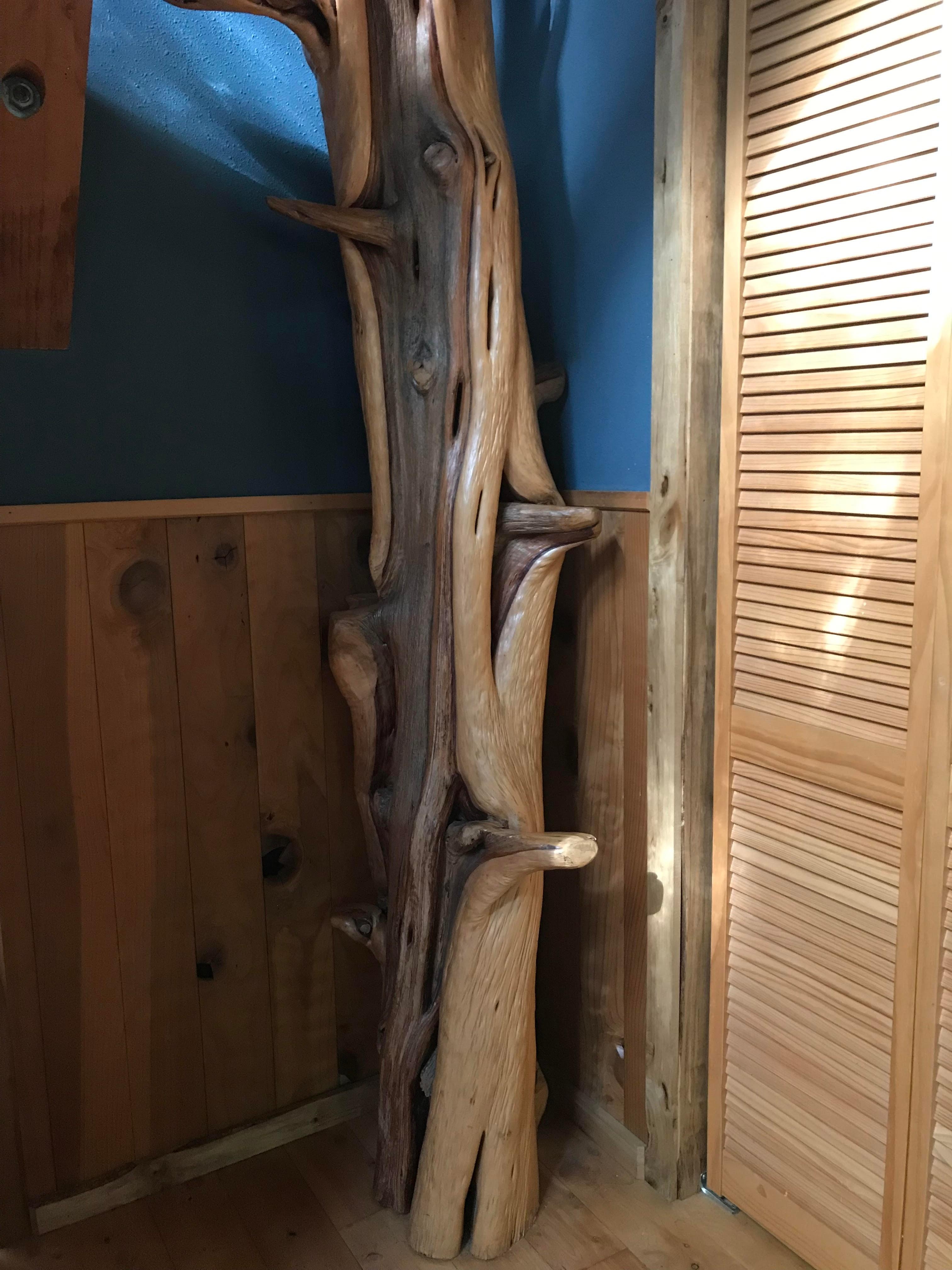 Branches to climb require long legs