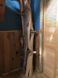 Branches to climb require long legs