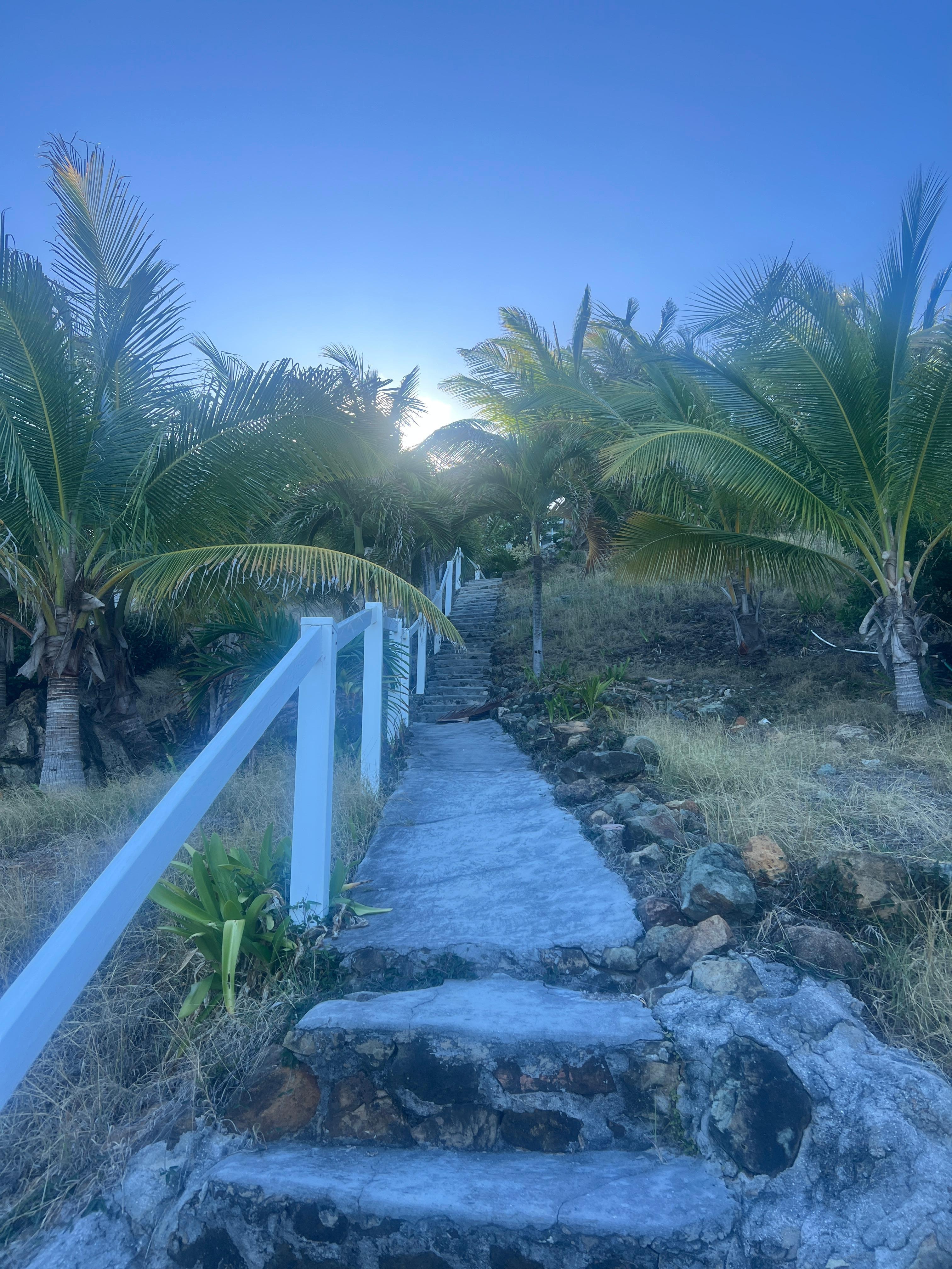 Part of the walk down to the beach