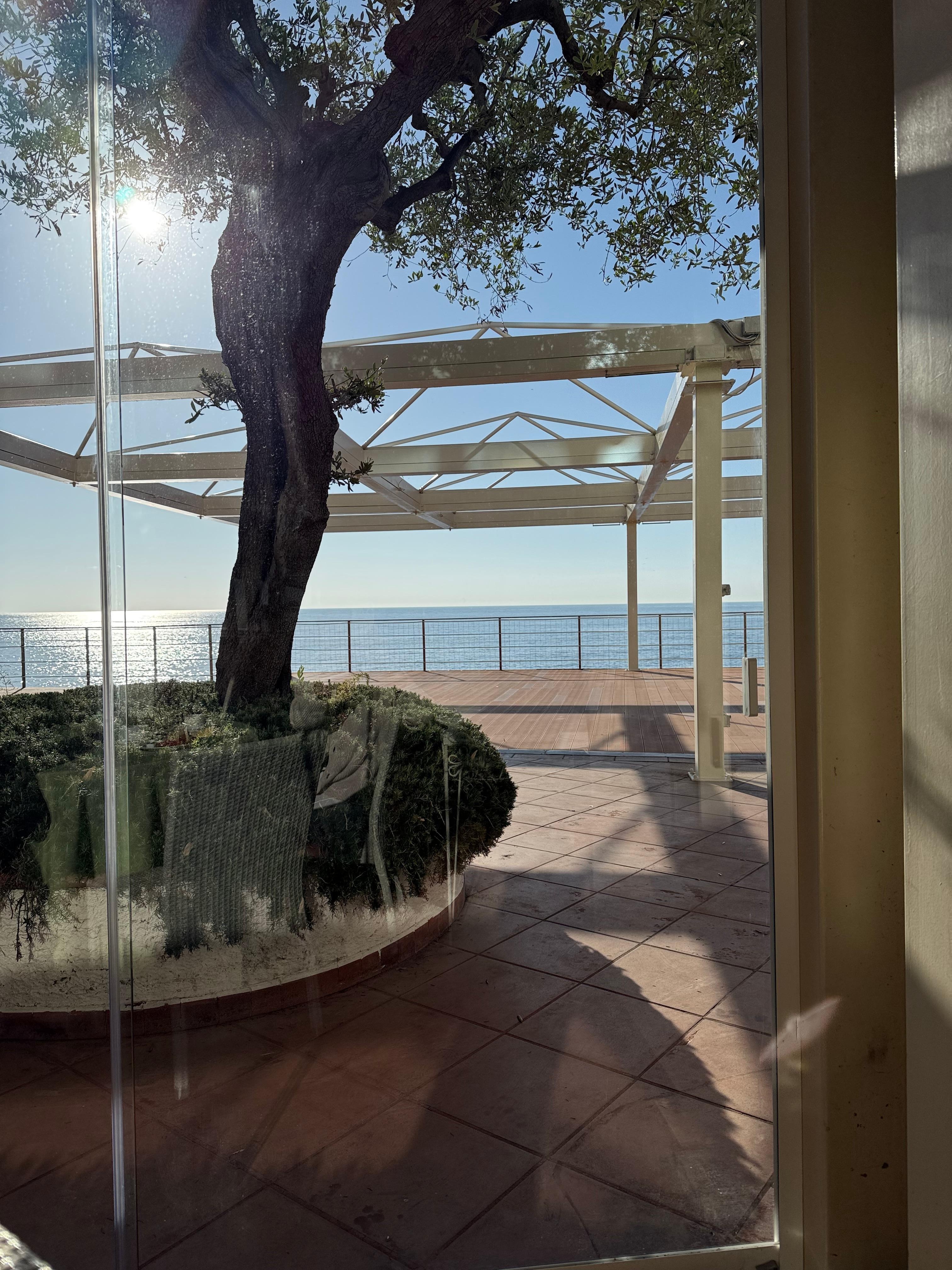 Blick vom Frühstückstisch 