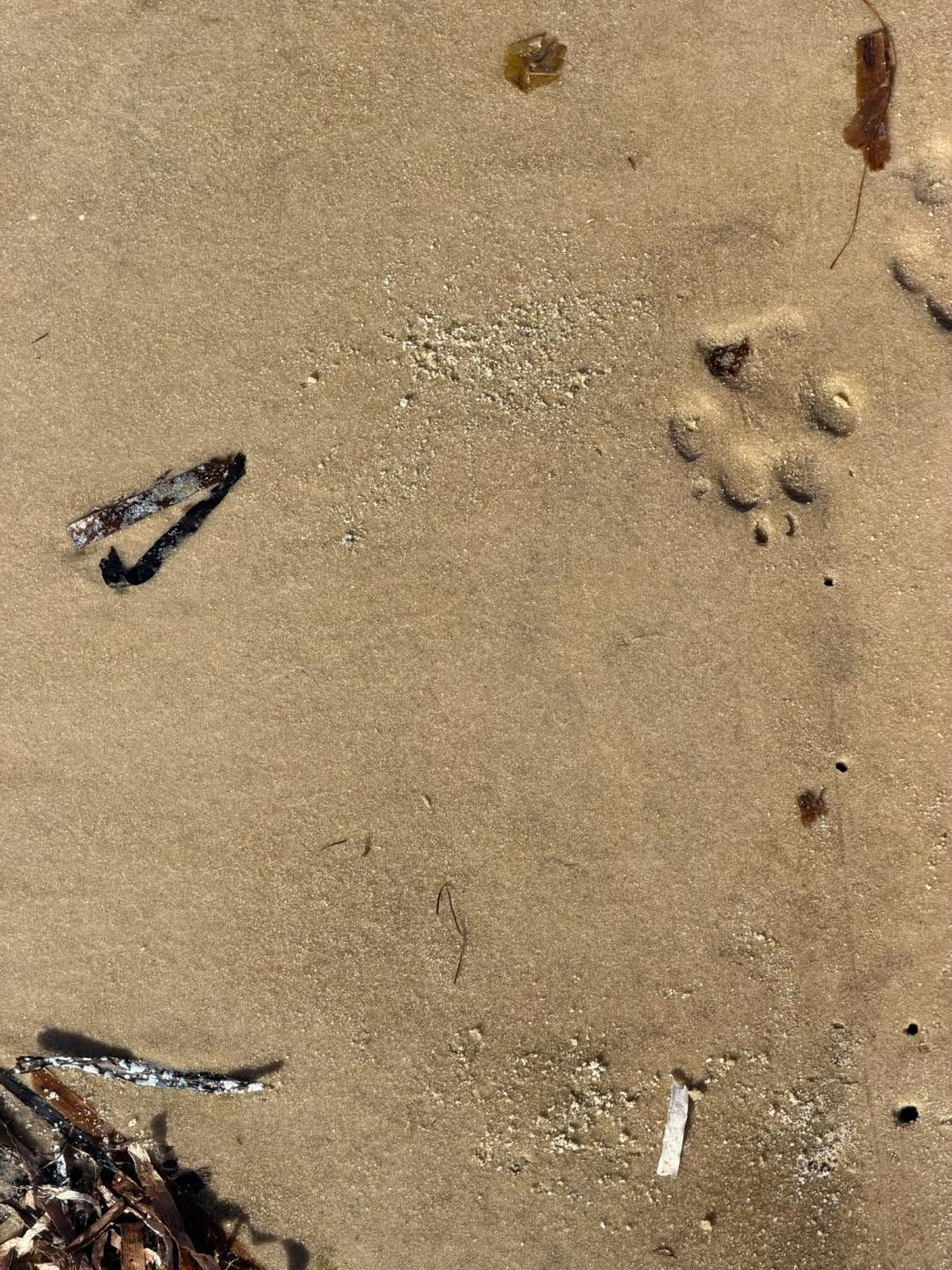 Beach sand