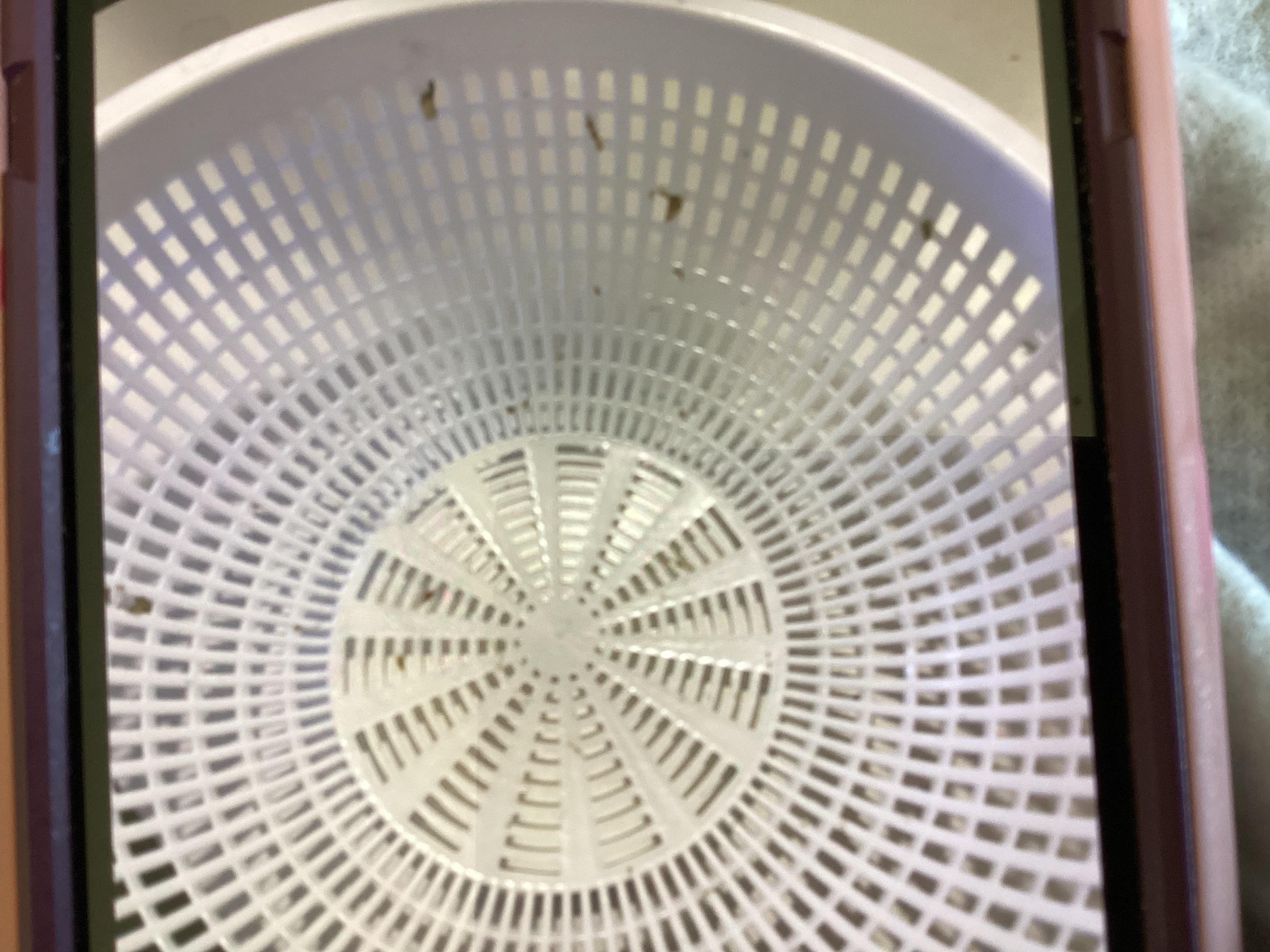Dried food on colander
