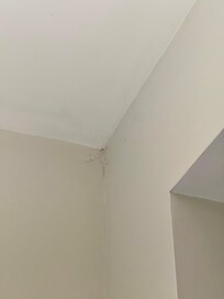 And more webs