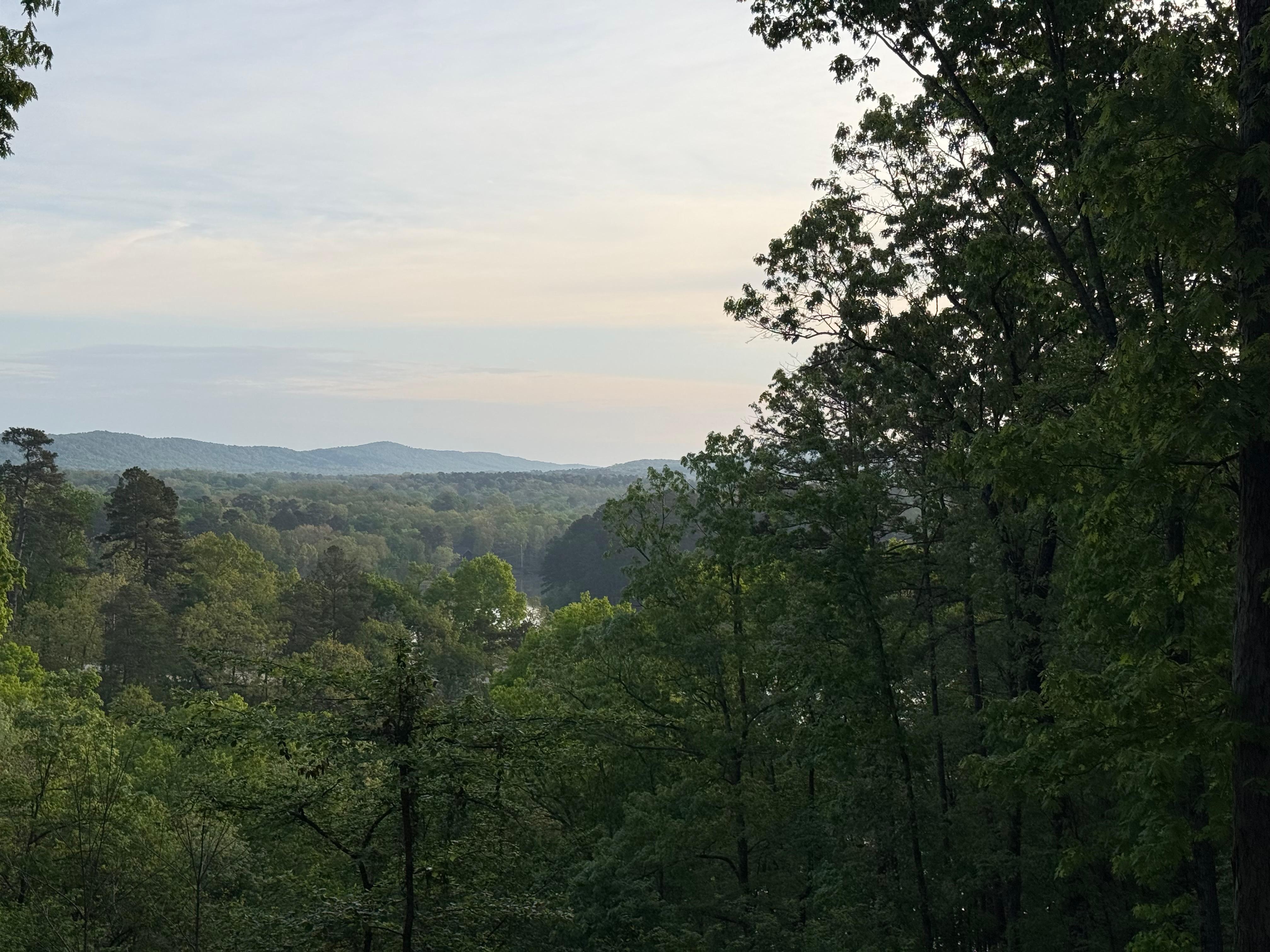 View from the back deck
