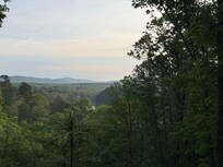 View from the back deck