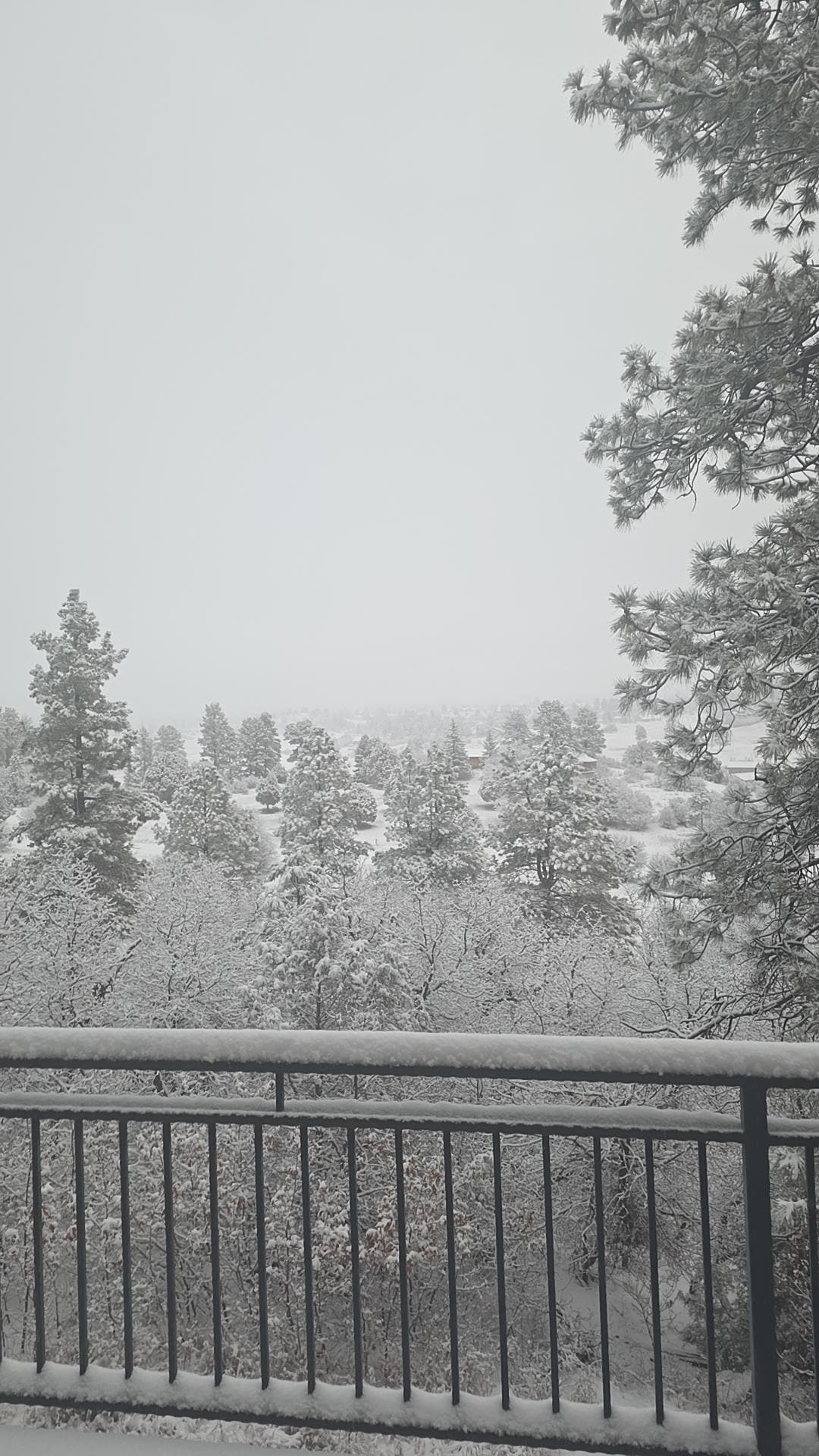 View from the kitchen area. 