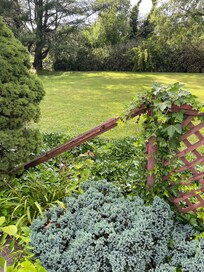 The outside of the property was badly damaged and not kept well. This fence is in ruins.