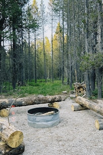 Fire pit in back yard