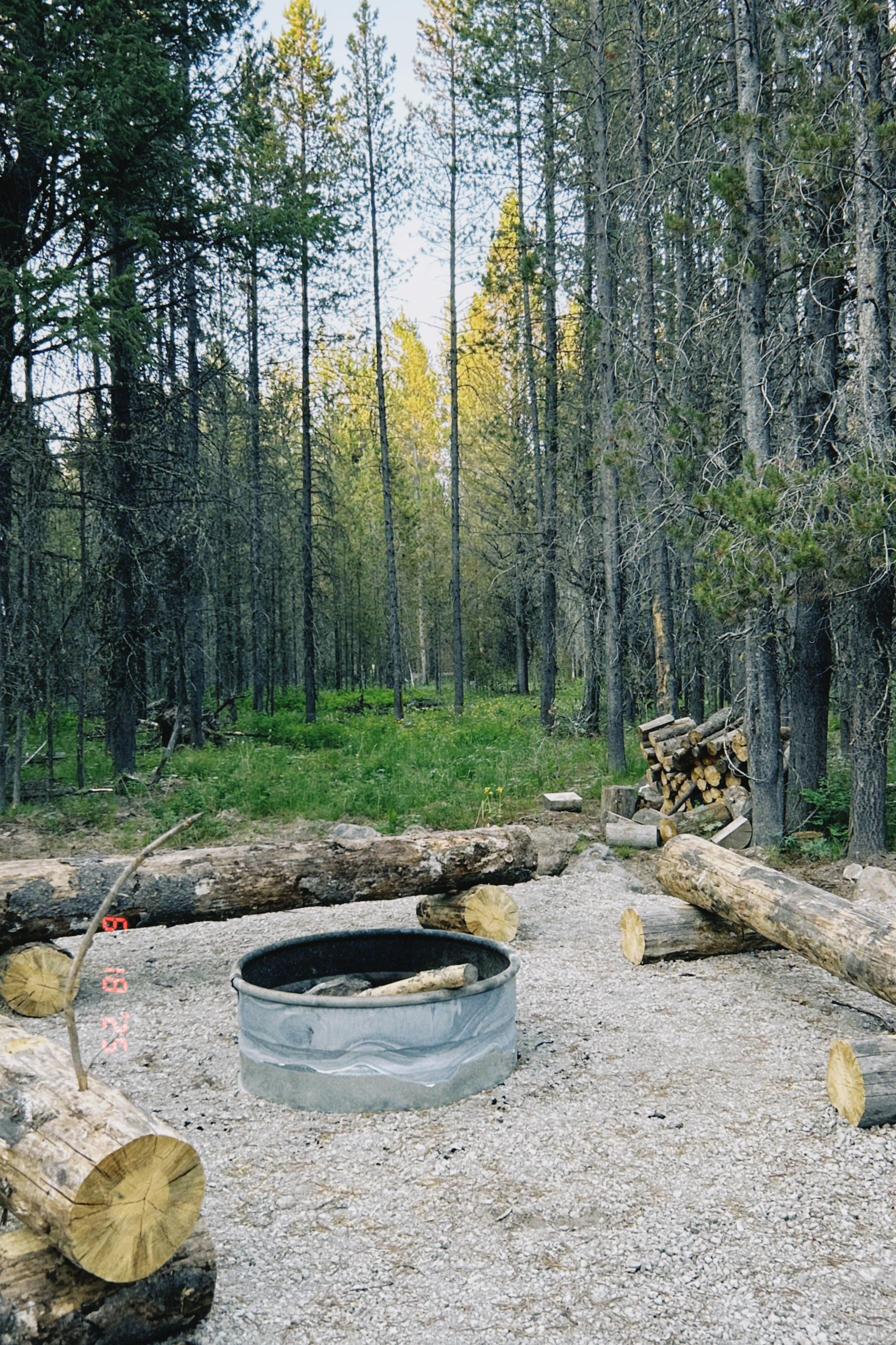 Fire pit in back yard
