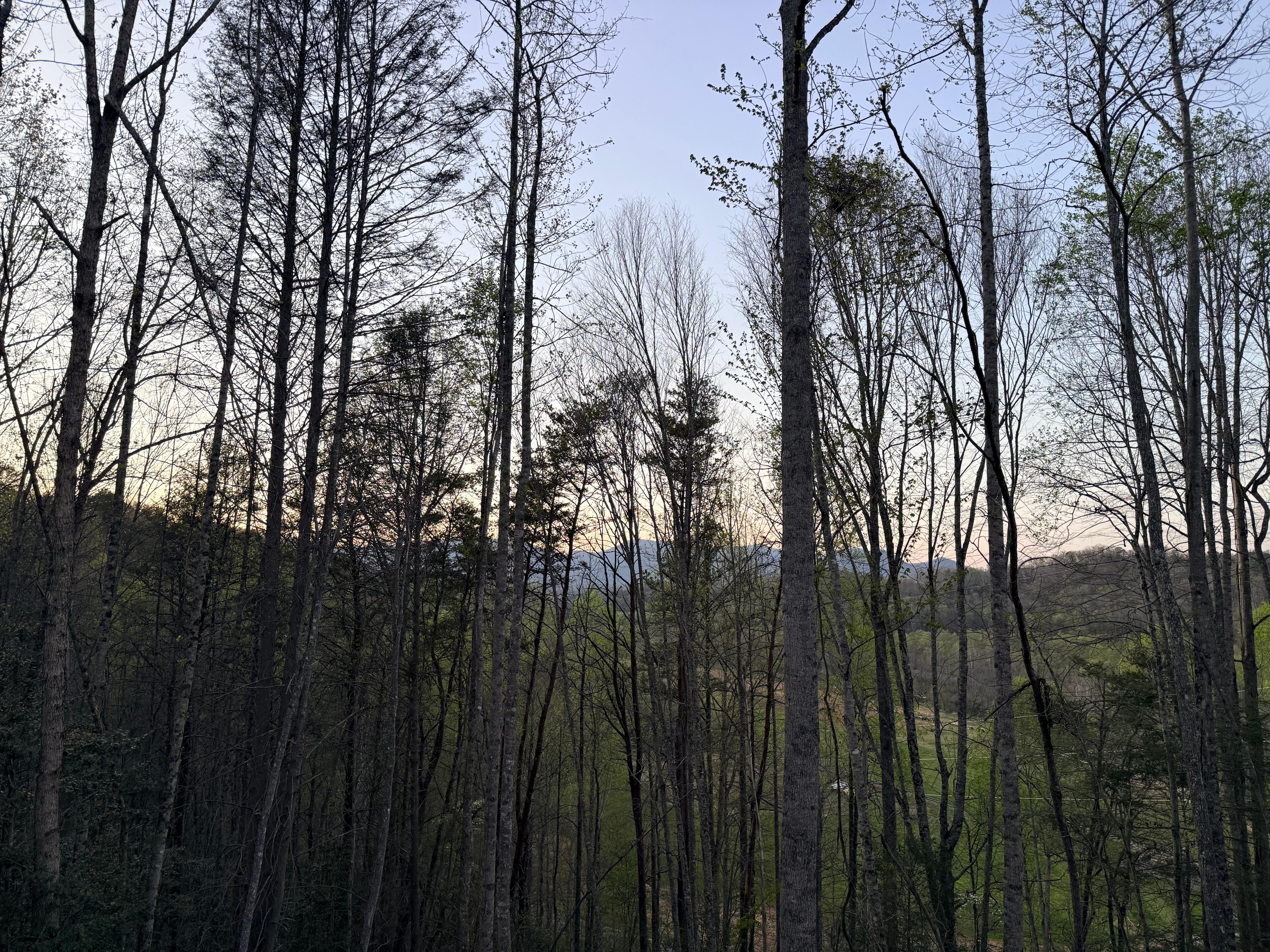 Mountain View from the porch