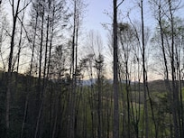 Mountain View from the porch