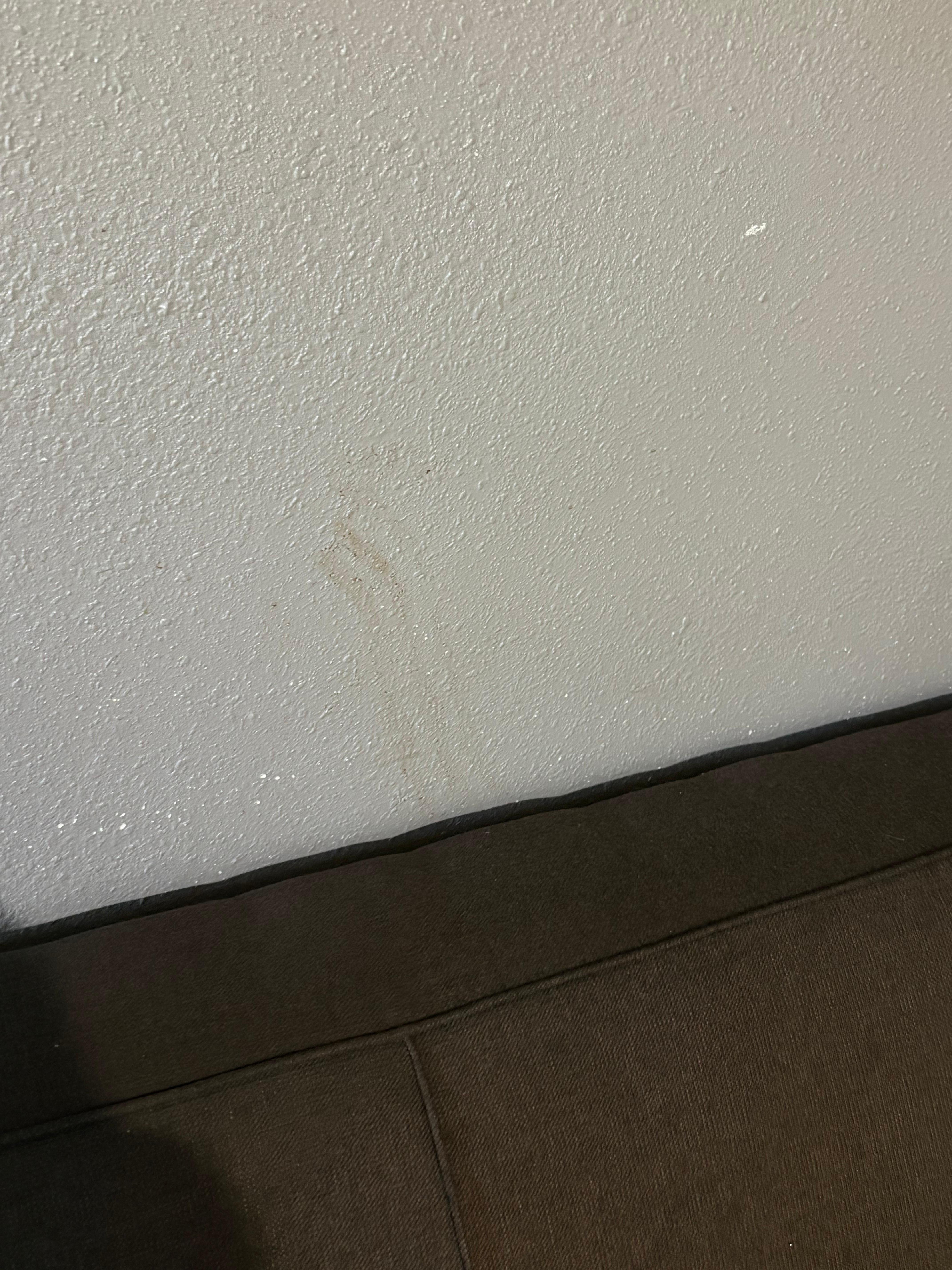 An unidentified smear on the wall. 