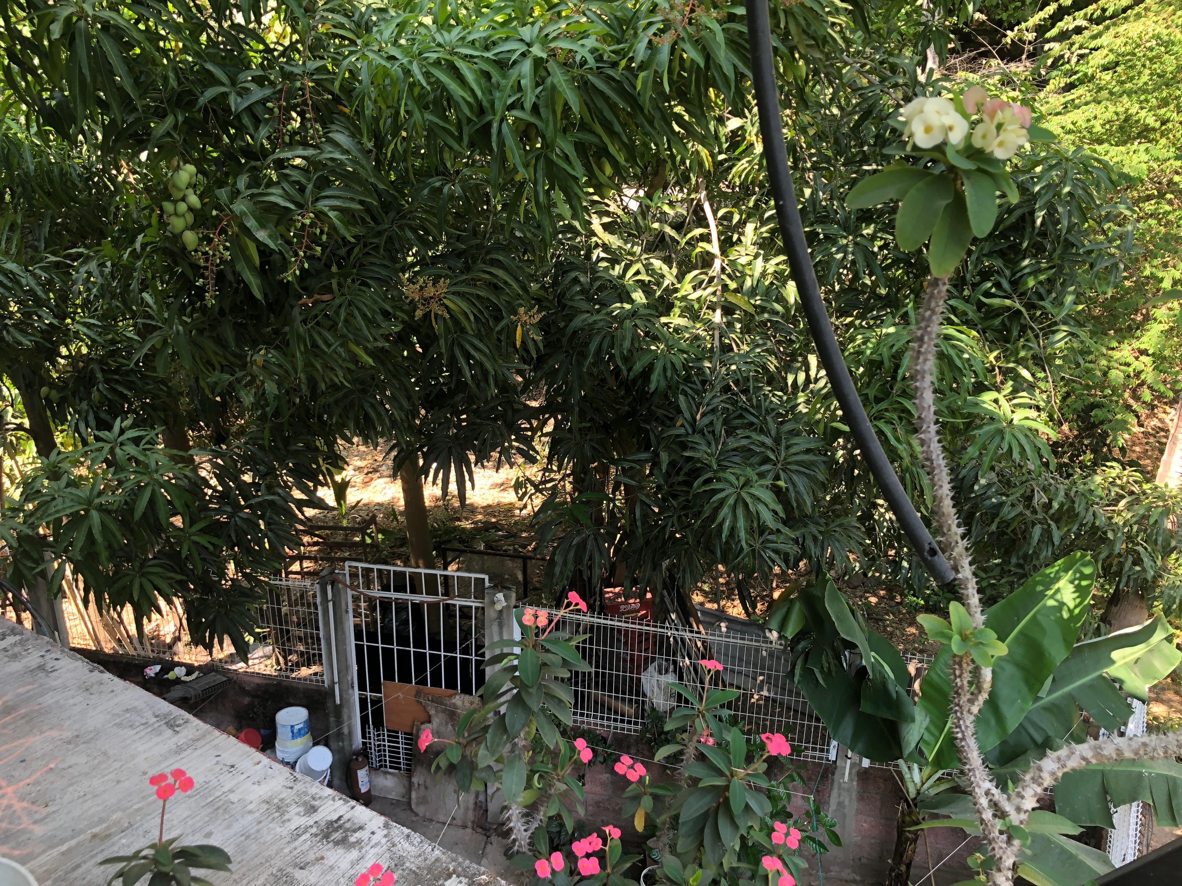 Beautiful landscape view from the deck