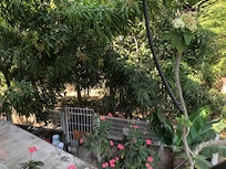 Beautiful landscape view from the deck