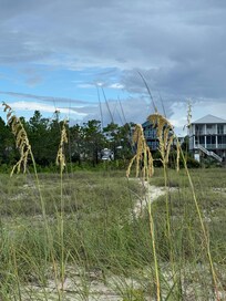 This is looking from the dunes back to our camper