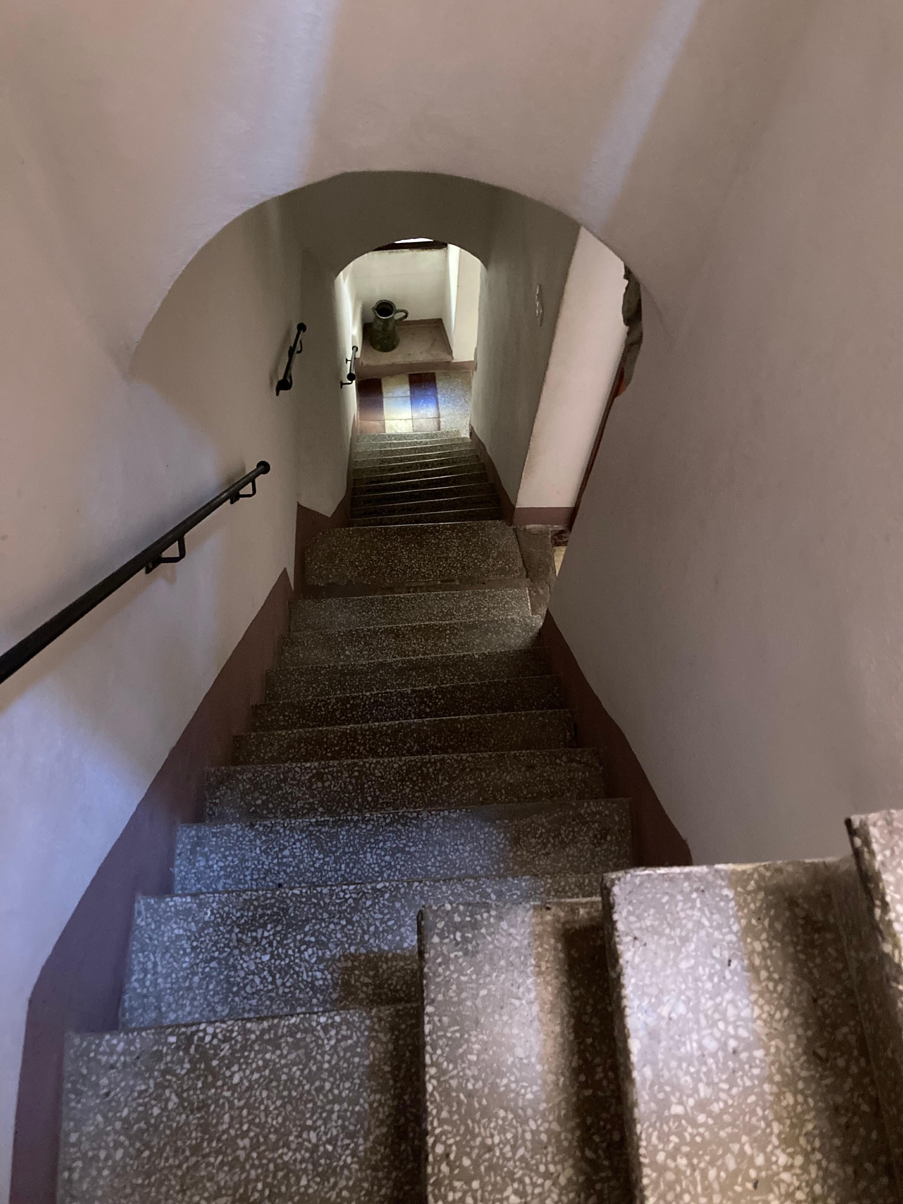 Fitness–Area