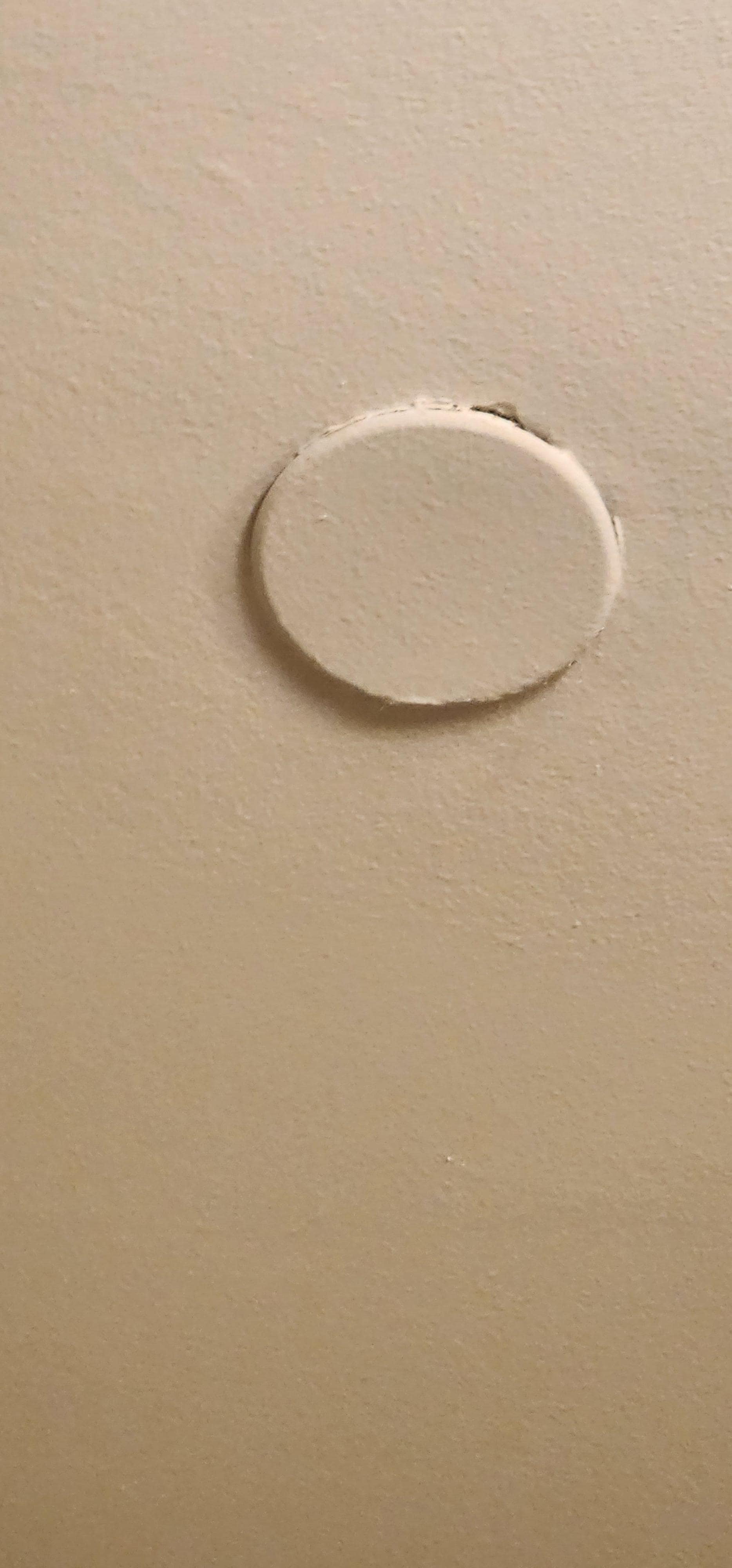 Painted over ceiling sprinkler