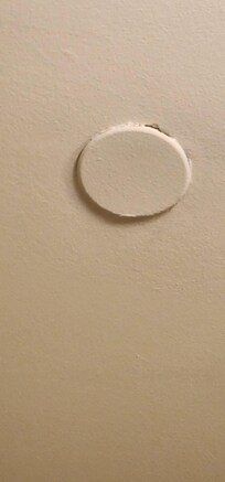 Painted over ceiling sprinkler