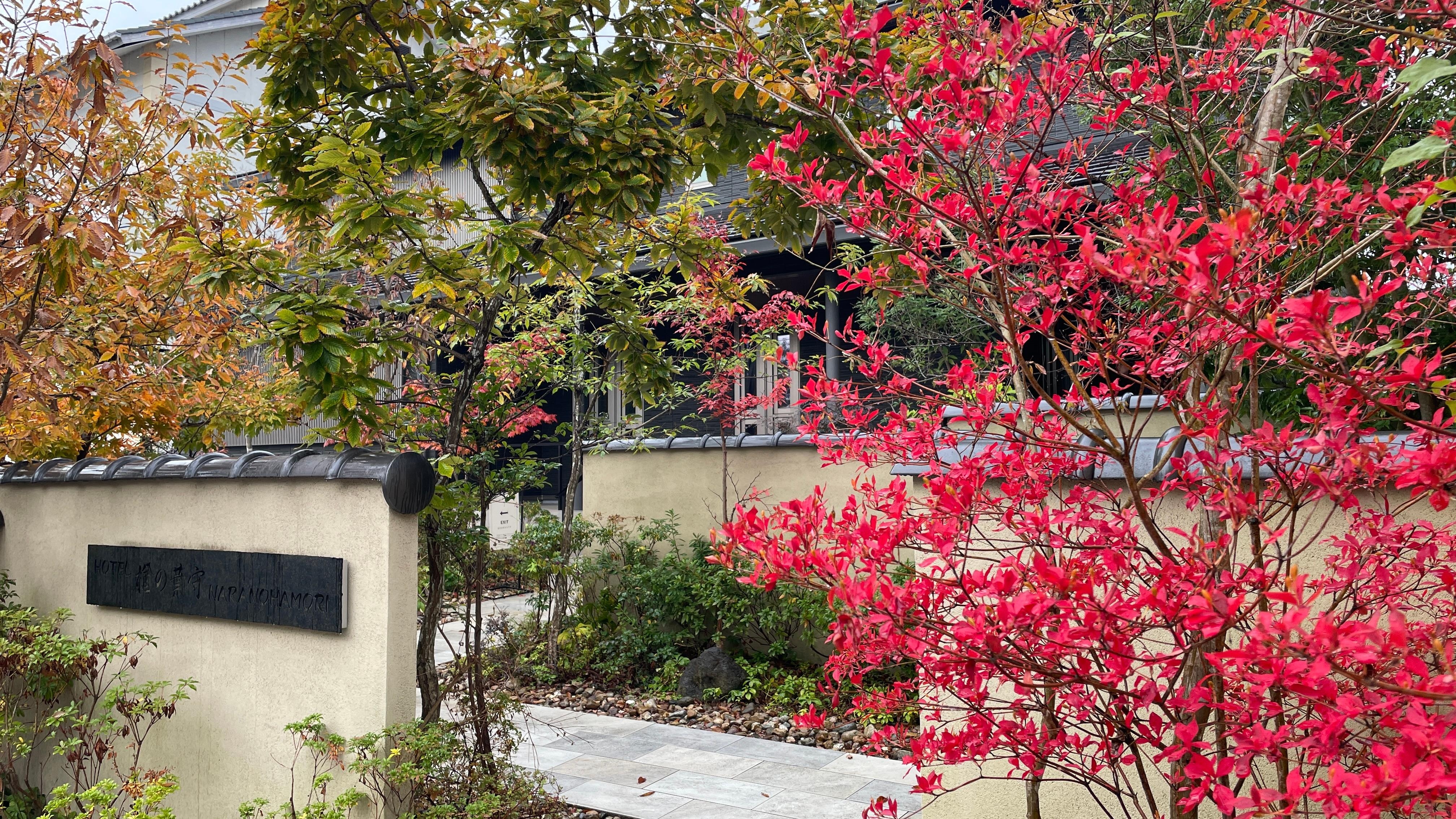 お庭の紅葉が綺麗でした。