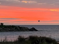 Sunrise with resident eagle!