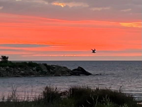 Sunrise with resident eagle!
