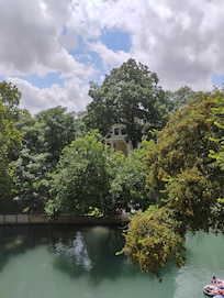 View across river from back patio.