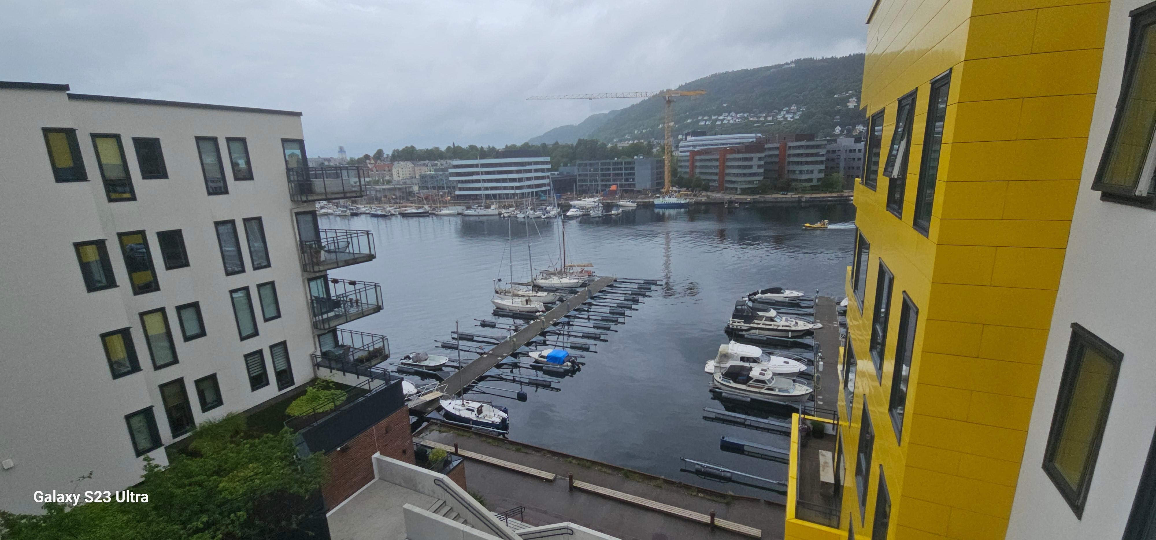 View from the plade