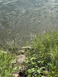 River edge