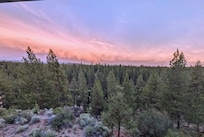 View off the back balcony